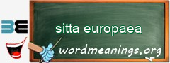 WordMeaning blackboard for sitta europaea